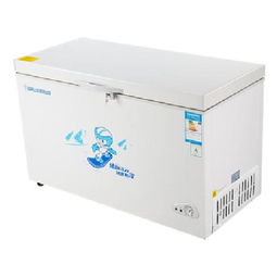 友田BD/BC-301QE 一款301升冷藏冷凍轉換大冰柜的實測體驗