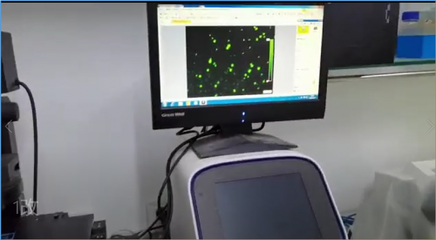 合曜生物 | 依托非模式生物自動(dòng)化改造平臺(tái),聚焦高附加值產(chǎn)品,多款已達(dá)量產(chǎn)水平